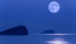 月亮吃瓜娱乐说,揭秘娱乐圈幕后故事