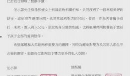 2021圈内爆料,揭秘明星幕后故事与幕后黑幕